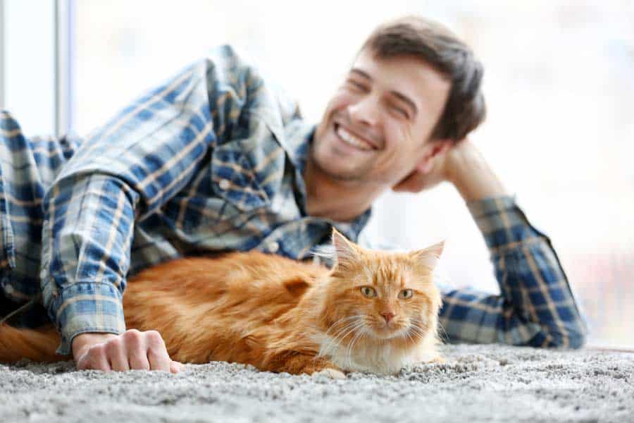 Katzenbesitzer genießt die Gesellschaft seiner Katze (depositphotos.com) Katzenbesitzer genießt die Gesellschaft seiner Katze (depositphotos.com)