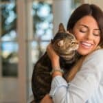 Warum sollte man sich eine Katze halten?