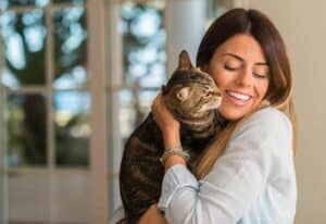 Read more about the article Warum sollte man sich eine Katze halten?
