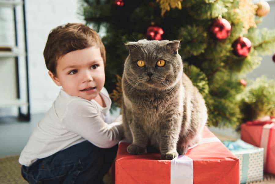 Kind und Katze zu Weihnachten (depositphotos.com)