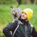 Wie halten Sie Ihre Katze gesund?