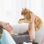 Warum sind Katzen die beliebtesten Haustiere?