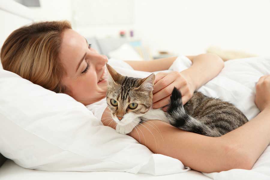 Katze mit Frau im Bett (depositphotos.com)