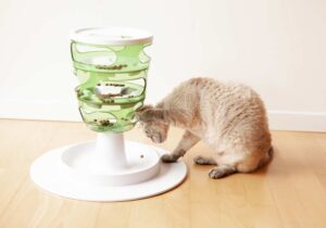Mehr über den Artikel erfahren Futterspielzeug Katze