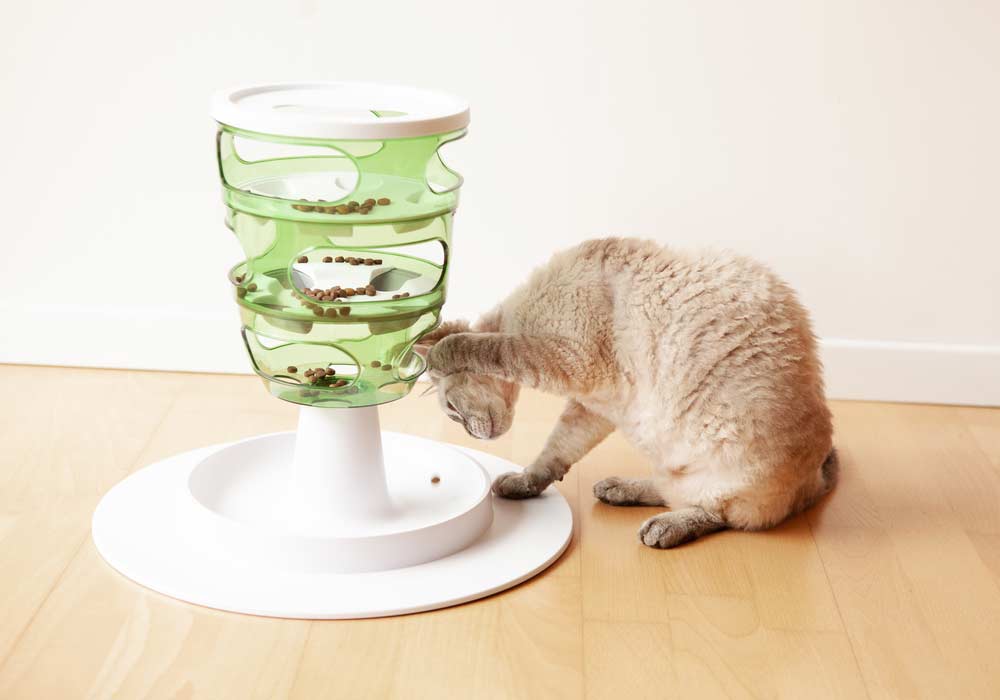 Du betrachtest gerade Futterspielzeug Katze