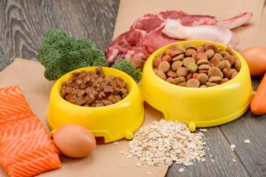 Mehr über den Artikel erfahren Katzenfutter hypoallergen