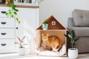 Mehr über den Artikel erfahren Katzenhaus aus Karton