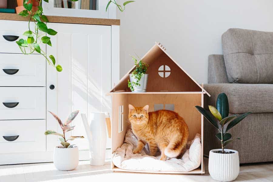 Du betrachtest gerade Katzenhaus aus Karton