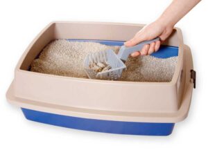 Mehr über den Artikel erfahren Katzenstreu Schaufel