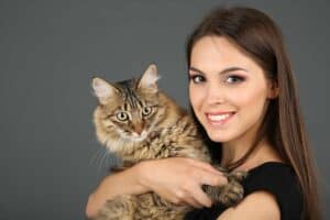Read more about the article Was sind die beliebtesten Katzennamen und warum?