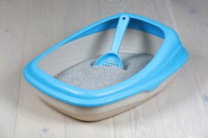 Mehr über den Artikel erfahren Katzenklo klein