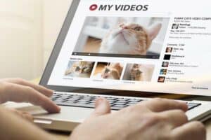 Read more about the article Warum lieben so viele Menschen Katzenvideos in den sozialen Medien?