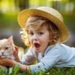 Welche Katzenrasse ist am besten für Kinder geeignet?