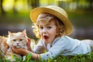 Read more about the article Welche Katzenrasse ist am besten für Kinder geeignet?
