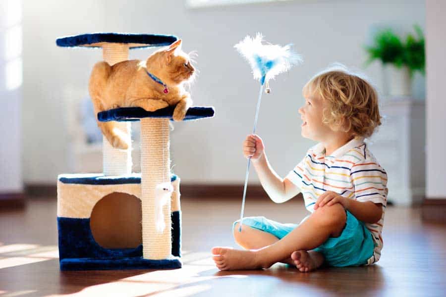 Kind spielt mit Federspielzeug mit Katze auf dem Kratzbaum (depositphotos.com)