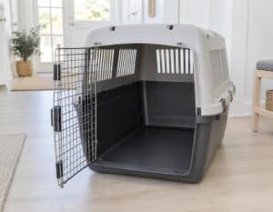 Mehr über den Artikel erfahren Katzen Transportbox groß