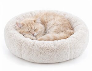 Mehr über den Artikel erfahren Katzenbett rund