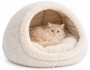 Mehr über den Artikel erfahren Katzenhöhle für große Katzen