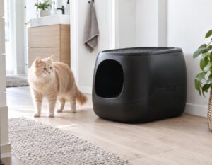 Mehr über den Artikel erfahren Katzenklo Schwarz mit Deckel