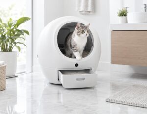 Mehr über den Artikel erfahren Katzentoilette Selbstreinigend