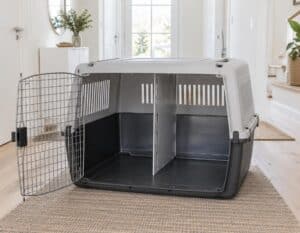 Mehr über den Artikel erfahren Katzentransportbox für 2 Katzen XXL
